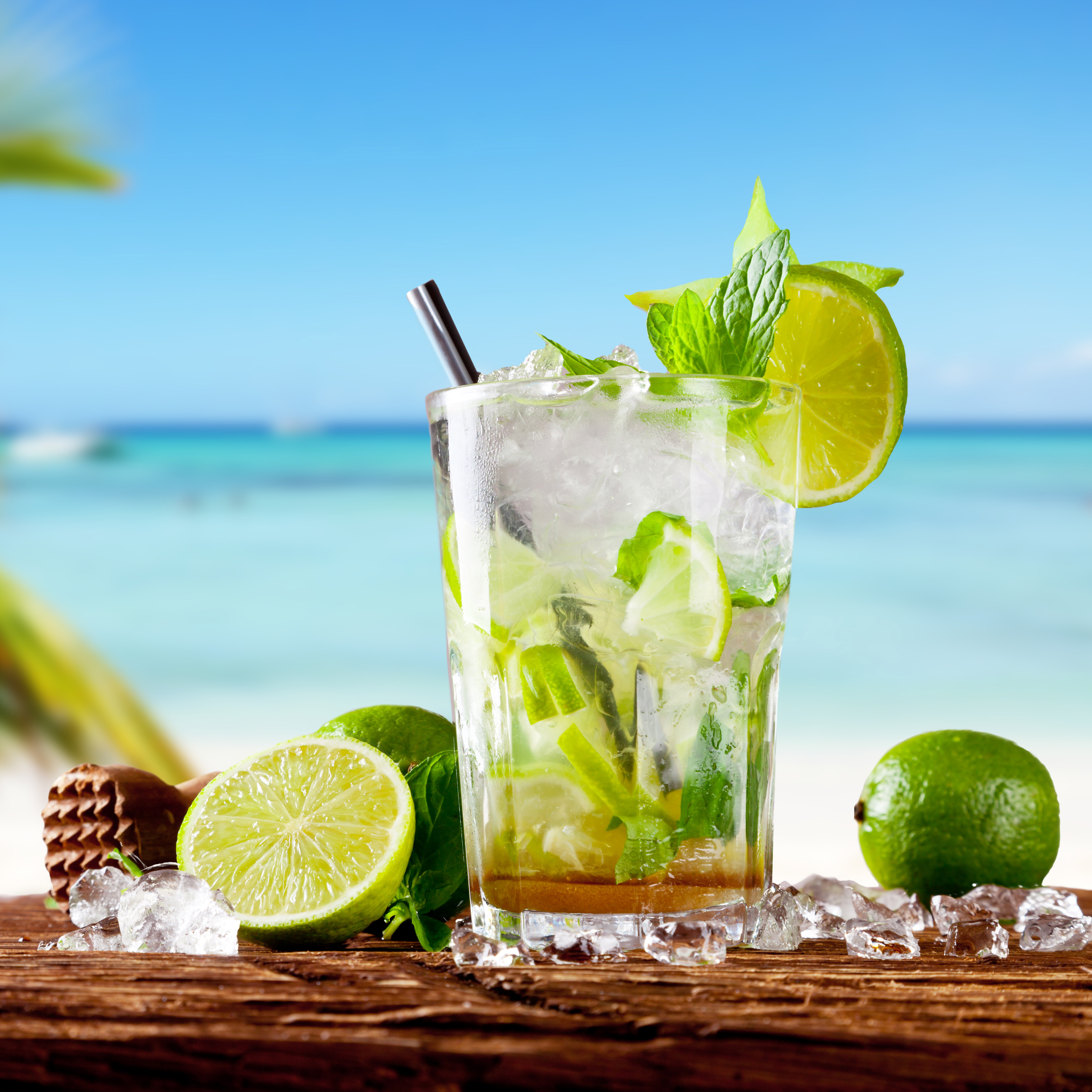 Sake Lime Fizz - JFC International
